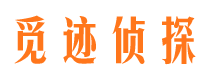 织金市调查公司